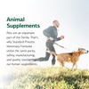 Standard Process Inc. Canine Enteric Support - Digestive System Support