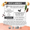 Numi Organic Tea Orange Spice, 16 Count Box of Tea