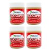 Pack 4 Pomadas De Eucalipto Frasco De 40g C/u Mentol