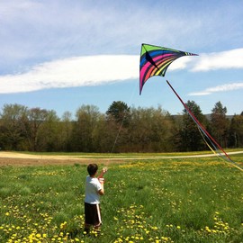 Mint's Colorful Life Delta Kite for Kids & Adults, Extremely Easy to Fly Kite with 3 Ribbons and 300ft Kite String, Best Kite for Beginners