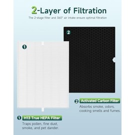 Future Way - Juego de 2 filtros de repuesto para purificador de aire 5500-2 para Winix 5500-2, filtro True HEPA H13 y kit de filtro de ca...