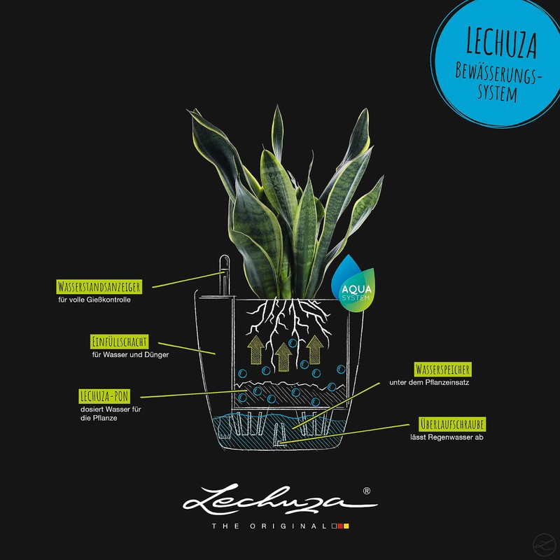 Lechuza Classico Self-Watering Polypropylene Planter, 9" x 9" x 8"