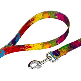 Country Brook Petz - 1 Inch Paint Splatter Dog Leash - 6 Foot