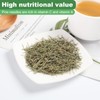 KASVAN Organic Pine Needle Tea (8.8 oz) - White Pine