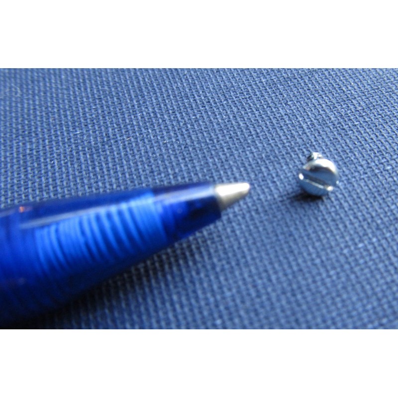 100x Mini Screws Slotted Screws 2.2 x 4.5 mm Long