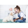 Unbranded Dog Stickers | 1.5" Round | 80 Pack |