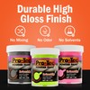 WELCH PRODUCTS ProTec Powder Paint for Jigs & Lures, High