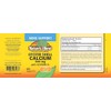 Nature's Blend Oyster Shell Calcium with D3 200 Tabs