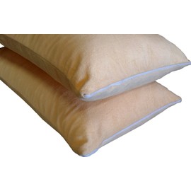 ehomegoods Quantity = 2 Queen Size Firm Dual Zone Gel Micro Cushion Memory Foam Bed Pillows with Internal case and Velour Plush Zipper Covers