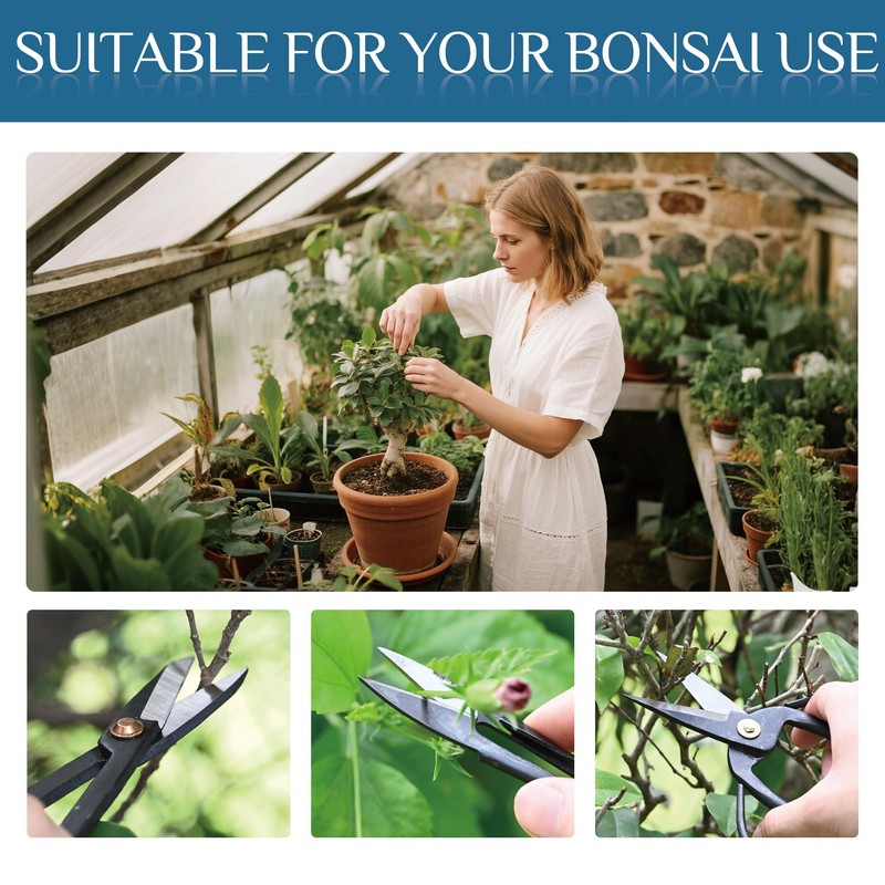 14-Piece Bonsai Tree Kit, Bonsai Tool Set, Carbon Steel Scissors