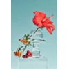 Tocobo Tónico De Poros Vita Berry 150 Ml