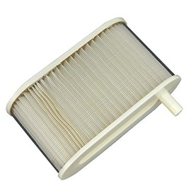 Ager Air Filter for V-MAX 1200