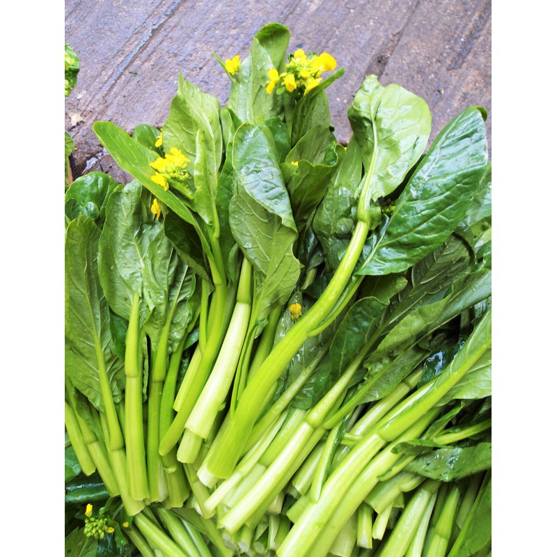TomorrowSeeds Yu Choy Sum Seeds | 70D Improved Gai Lan