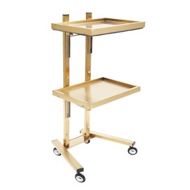 2 Tier Folding Salon Rolling Cart,Stainless Steel Barber Trolley,Salon Server Trolley,Spa Storage Cart with Foldable Trays and Wheels,Gold