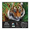 SunsOut Big Tiger 1000 Piece Jigsaw Puzzle for Adults by