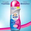 Snuggle Plus Superfresh In-wash Freshness Booster, Spring Burst, 14 Ounce