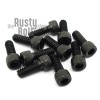 The Rusty Bolt Shop #4-40 x 5/16", Socket Head Cap