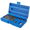 BERGEN DR RIBE 1/2" M5-M14 POLYDRIVE SOCKET BIT SET 30-75MM