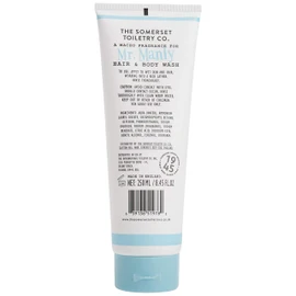 Mr Perfect and Friends by Somerset Mr Manly Hair and Body Wash By Somerset, 8.45 Fl Oz