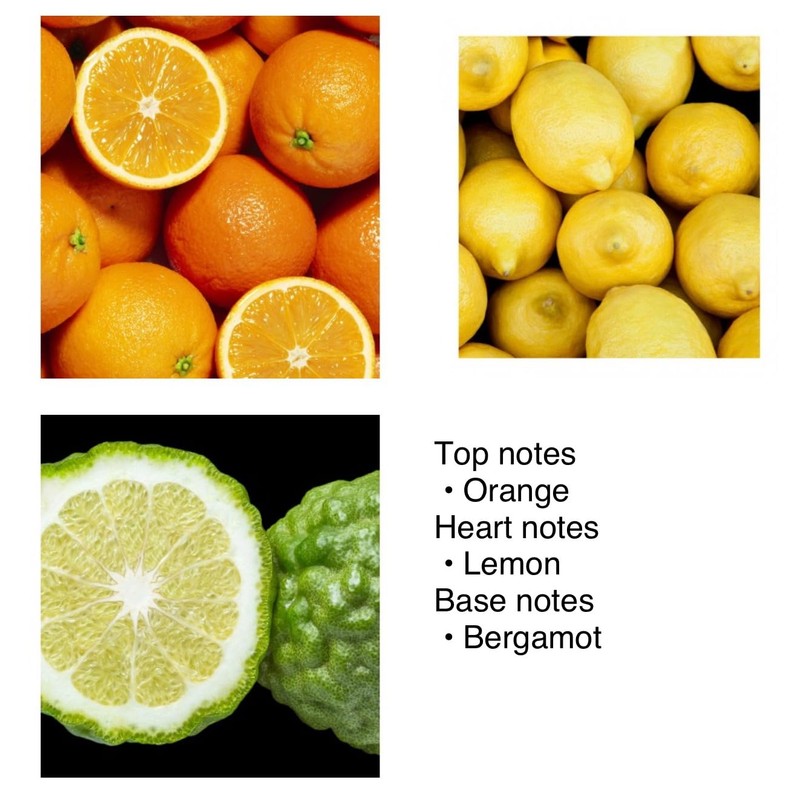 Yodeyma - Herrenparfüm Blue Sand 50 ml Neuheit Niche Collection