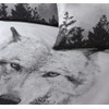 Sleepdown Duvet Cover Set - Multi Colour - Wolf Panel