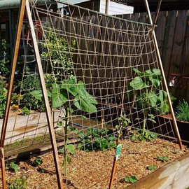 Pea and Bean Biodegradable Natural Jute Netting Heavy Duty 2m x 5m
