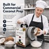 Coconut Scraper Electric 3 Speed Coconut Grater Machine Vertical Coconut