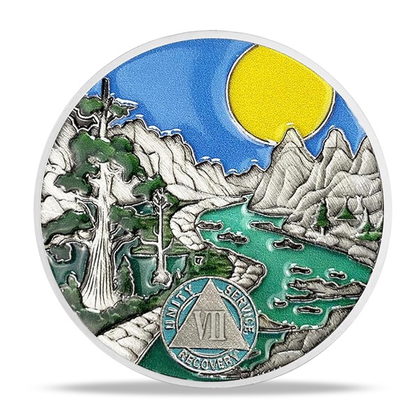 7 Year Sobriety Coin Gifts | River and Forest AA