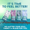 Organic Lion's Mane and Chaga Mushroom Coffee Dark Roast, Full