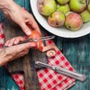 Aniso Kitchen vegetable peeler Stainless steel rotary peeler for vegetable