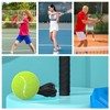 Wzenclave 4pcs Tennis Trainer Set with Elastic String Includes 4