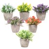 6 Piezas de Plantas Artificiales Mini Macetas,Fake Planta de Plástico,Flor
