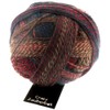 Skacel Zauberball Crazy 1507 Autumn Wind