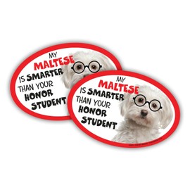 Prismatix Decal 2 Dog/Cat Oval Magnets for Cars, Lockers, Refrigerators, Maltese