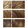 Clairol Nice'n Easy Permanent Hair Dye 106/8A Natural Medium Ash