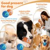 Smart Jumping Ball for Dogs - Interactive dog toys，Smart Jumping