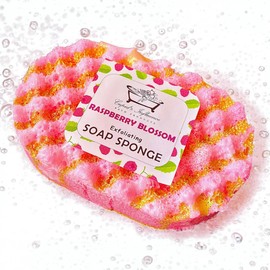 Raspberry Blossom Exfoliating Soap Sponge | Shower Soap | Soap Filled Sponge | Shower Puff | Exfoliating Body Wash | Tan Remover & Body Scrub | Raspberry Body Wash | Stocking Fillers | Gift for Her