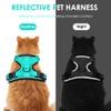 Cat Harness with Lead, Escape Proof Cat Lead Set, Adjustable,