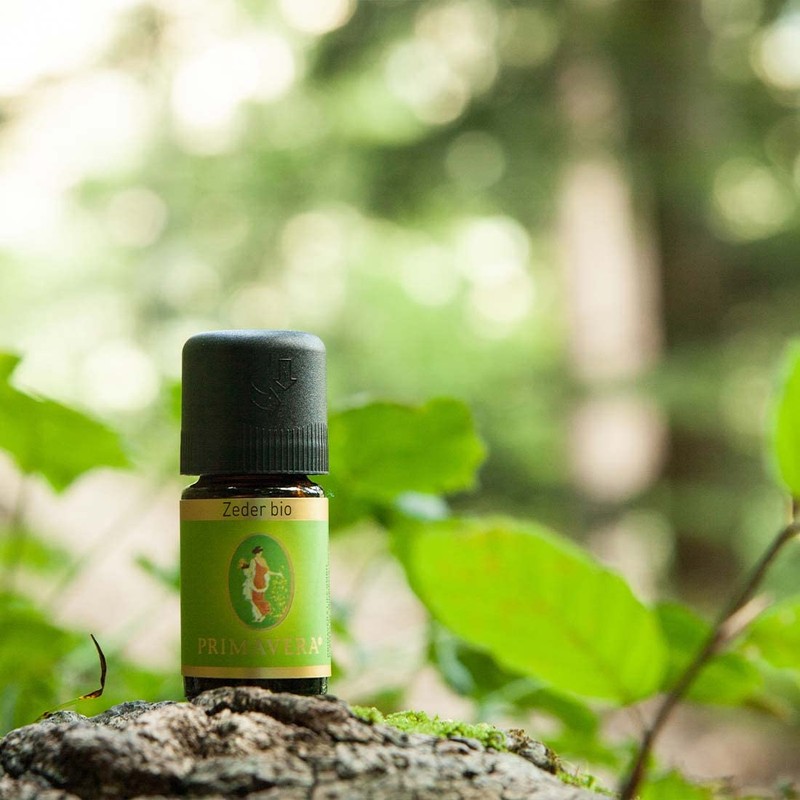 PRIMAVERA Ätherisches Öl Zeder bio 5 ml - Aromaöl, Duftöl,