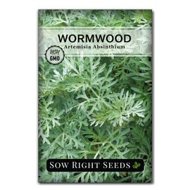 Sow Right Seeds - Wormwood Seeds for Planting - Non-GMO Heirloom Packet with Instructions to Plant & Grow an Outdoor or Indoor Herb Garden - Sagewort Repels Mosquitoes - Medicinal Worm Wood Herb (1)