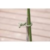 Takasho GST-01 Garden Soft Tie 0.1 inch (2.5 mm) x