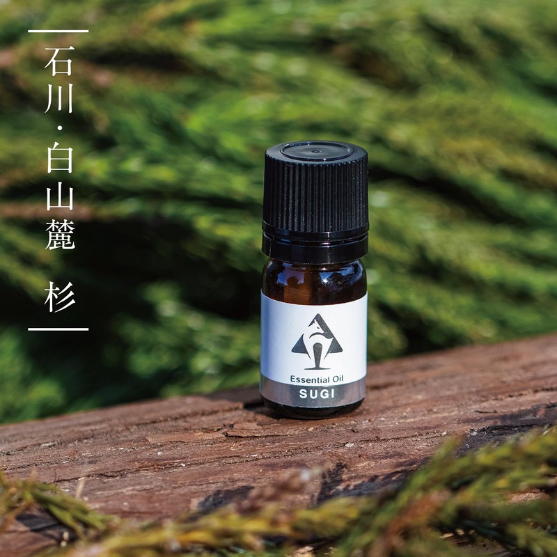 Shinchi Forestry Essential Oil Japanese Essential Oil Natural 100% Cedar