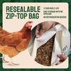 Hatortempt Bulk Dried Mealworms, 10 Lbs – Non-GMO Mealworms for