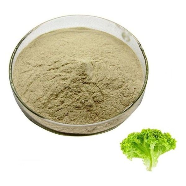 Lettuce extract powder 50g sample / 상추추출분말 50g 샘플