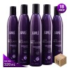 Jayli Shampoo Matizador Violeta Jayli Sin Sal Sin Sulfatos 18