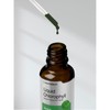 Chlorophyll | 2oz Liquid Drops | Vegan, Non-GMO, and Gluten
