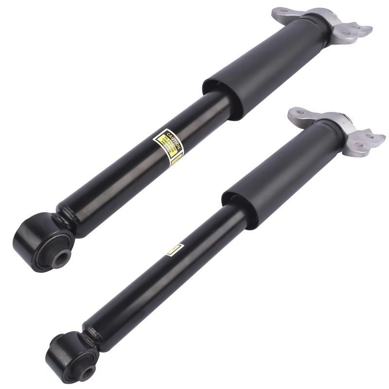 NEWZQ Set of 2 Rear Complete Shock Absorbers Replacement for