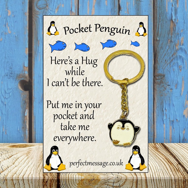 Perfect Message Pocket Penguin Hug Keyring Inspirational Gift for Boys