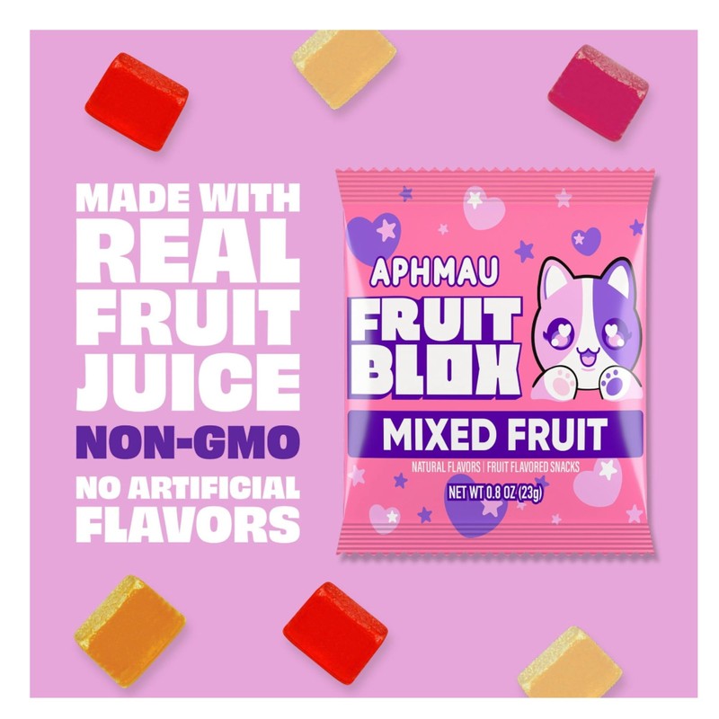 Generic Fruits Blox Mixed Fruit Snacks, 2 Boxes, 22 Count