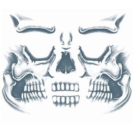 Costumes for all Occasions DFCT411 Tattoo Skull Face